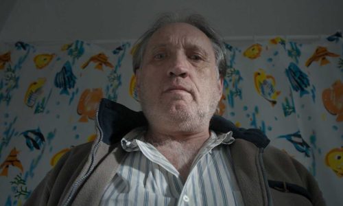 1000554894_optimized